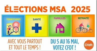 CFDT Crédit Agricole PCA – VOTEZ pour les élections MSA (du 5 au 16 mai 2025) CFDT Crédit Agricole PCA – VOTEZ pour les élections MSA (du 5 au 16 mai 2025)